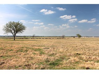 Tract 12 - LAND & MINERAL ACRES OKLAHOMA AUCTION, 588+/- Land & Producing Mineral Acres offered in 24 Tracts in Okmulgee County